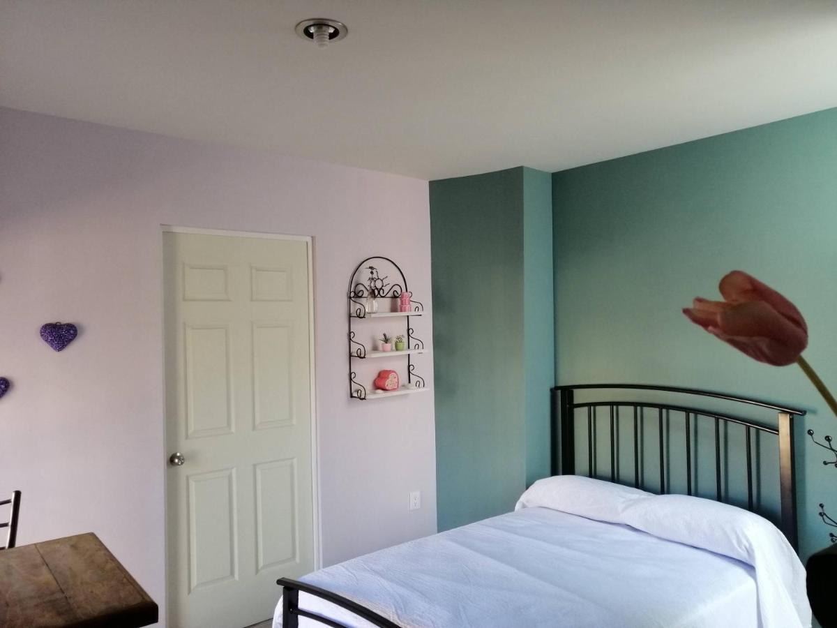 Casa Nikte Apartment Сакатекас Екстериор снимка